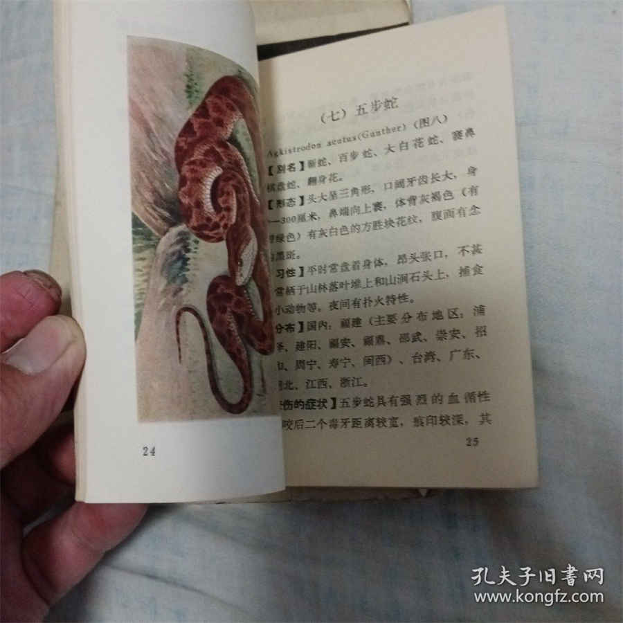 中国田径第一个奥运冠军是谁 中国田径第一个奥运冠军是谁