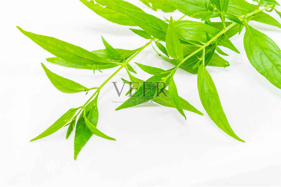【黄芪的保质期是多久】 黄芪的保质期多长时间 【黄芪的保质期是多久】 黄芪的保质期多长时间
