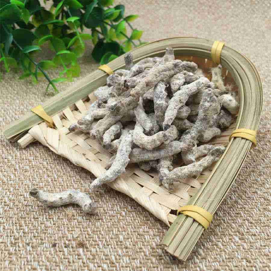 七叶一枝花 七叶一枝花什么时候种最好 七叶一枝花 七叶一枝花什么时候种最好