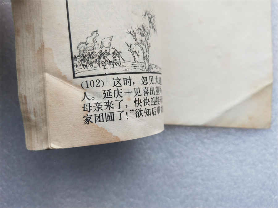 商陆 商陆图片 商陆 商陆 商陆图片 商陆