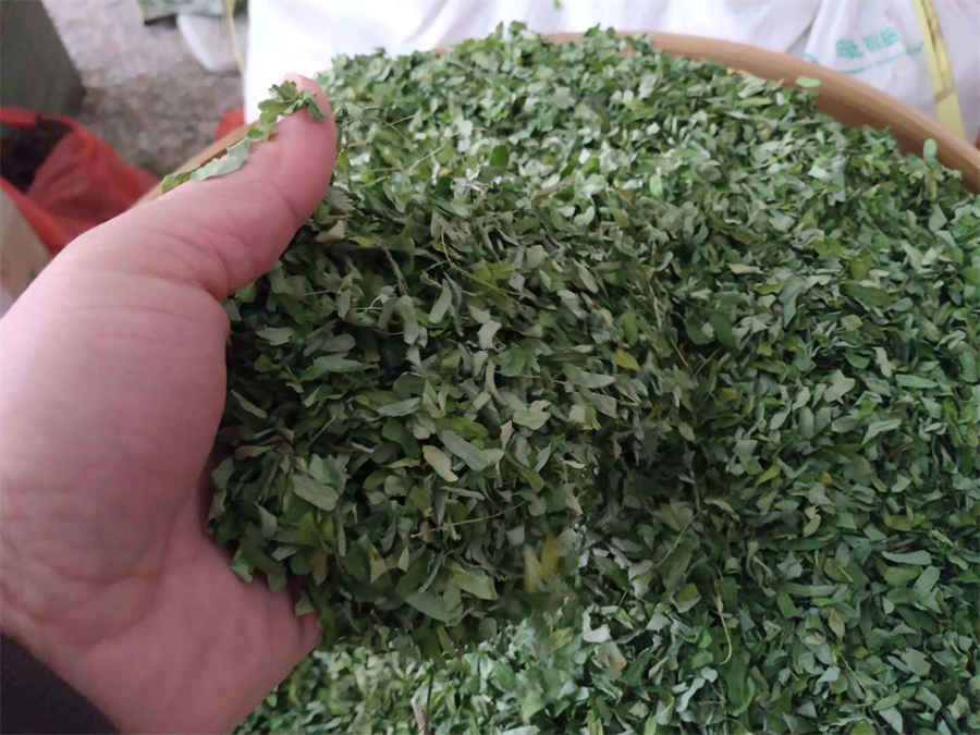 王皓是什么运动员 王皓是什么水平 王皓是什么运动员 王皓是什么水平