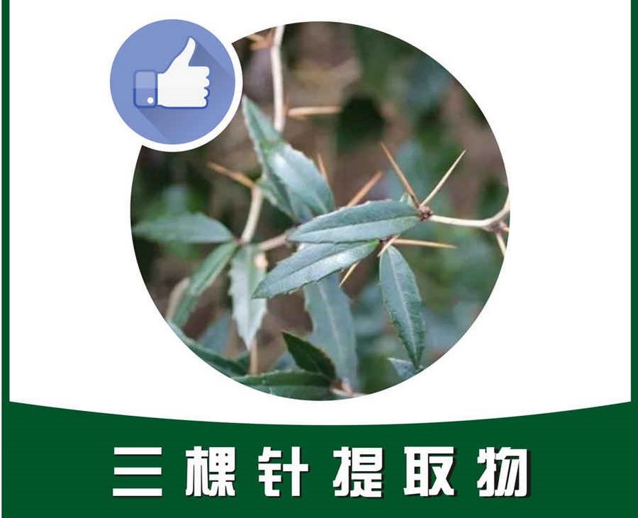 滚床单是什么意思?滚床单心理学 滚床单是什么意思?滚床单心理学