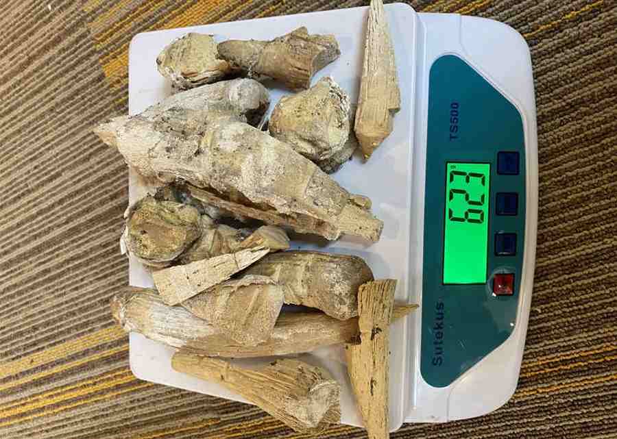 百步还阳丹 百步还阳丹 百步还阳丹 百步还阳丹