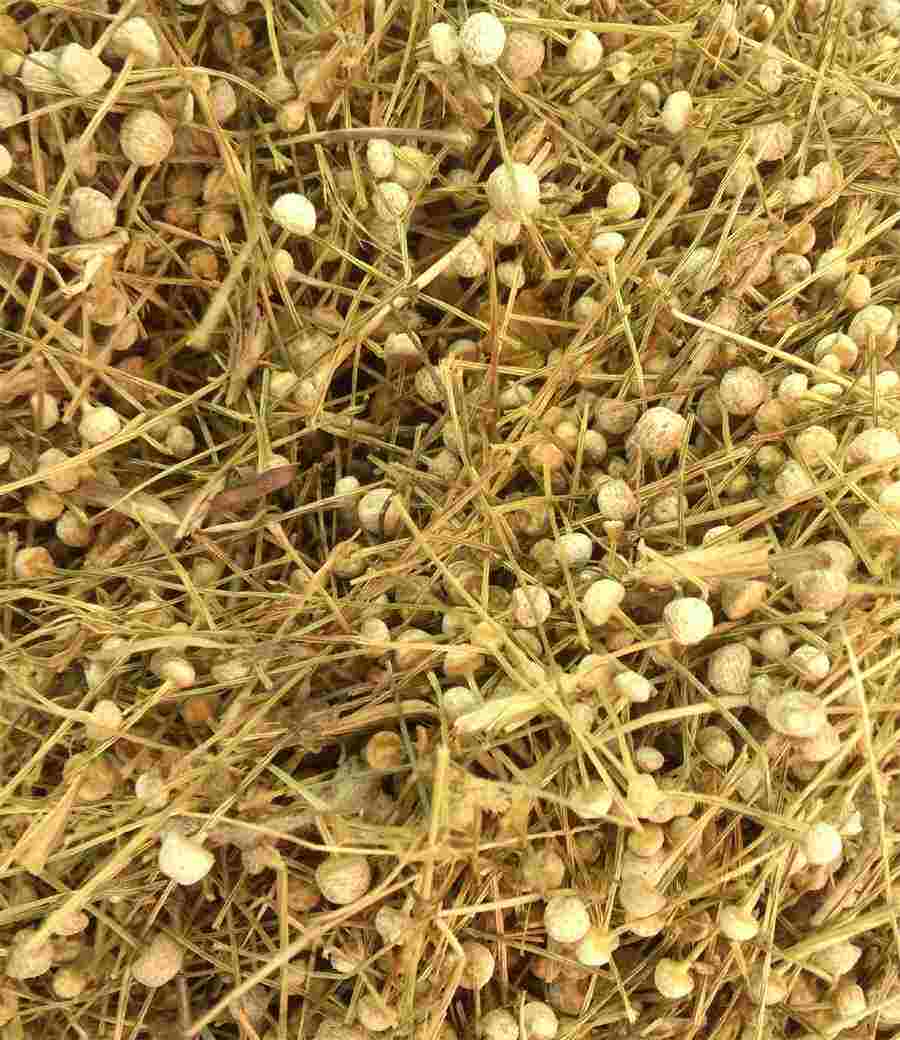 什么药膏可以祛痘,最好是从药店买的,很管的,用了不复发的(祛痘药膏管用吗) 后背祛痘药膏推荐 什么药膏可以祛痘,最好是从药店买的,很管的,用了不复发的(祛痘药膏管用吗) 后背祛痘药膏推荐