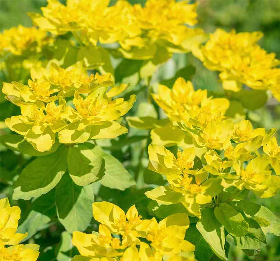 第130节 尿失禁 失禁文 第130节 尿失禁 失禁文