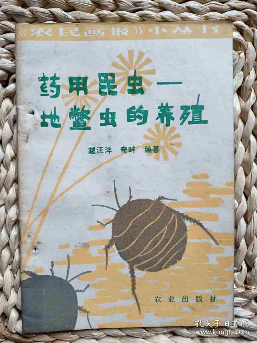 灯芯 灯芯 灯芯 灯芯
