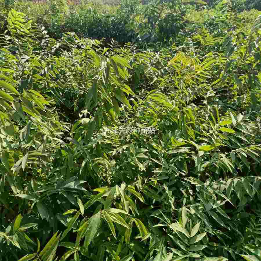 会计培训一般价格多少(会计培训一般多少钱) 会计培训费用是多少钱 会计培训一般价格多少(会计培训一般多少钱) 会计培训费用是多少钱