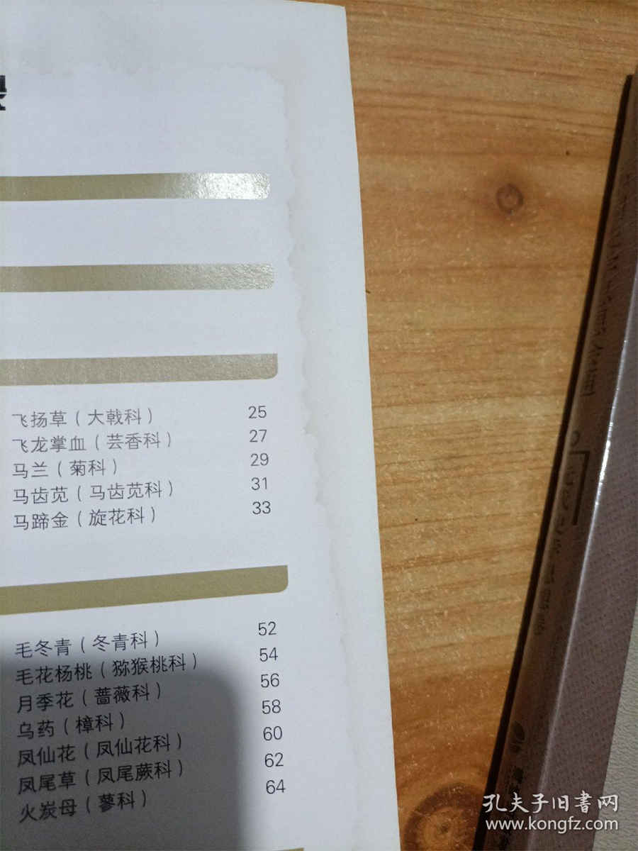 志室: 志室 志室: 志室
