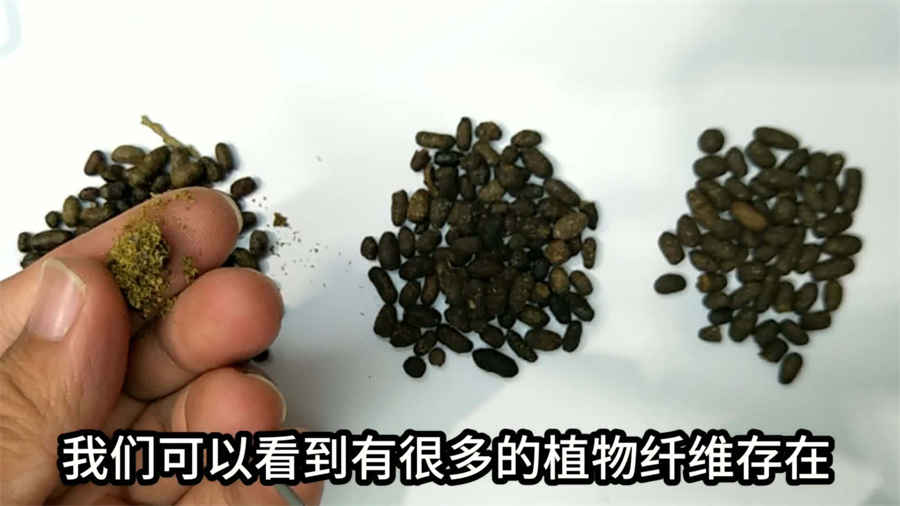 地榆散 地榆散 地榆散 地榆散
