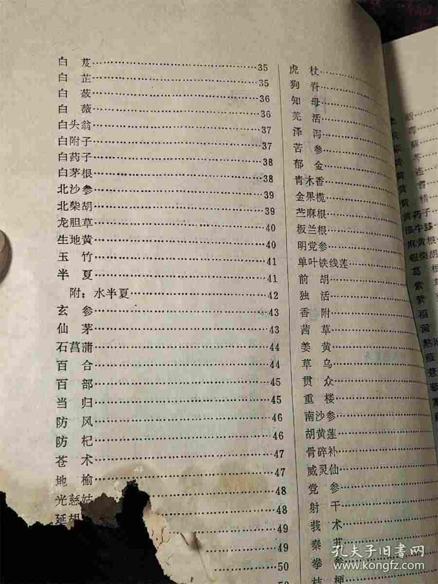 知汤药 豪毛 知汤药 豪毛