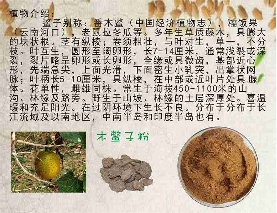 裸斑鱼(裸斑) 裸斑鱼简介 裸斑鱼(裸斑) 裸斑鱼简介
