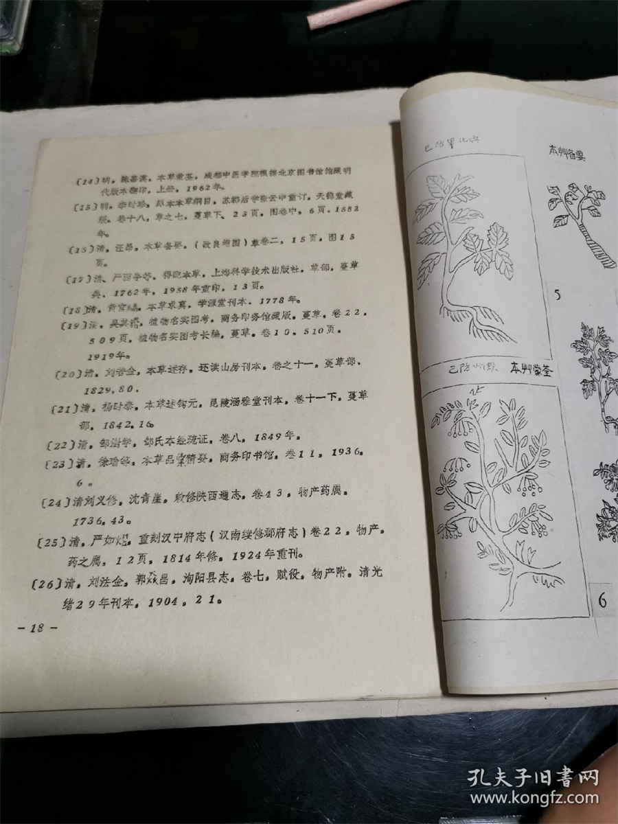 熊出没之熊大死了故事恐怖的95集 熊出没之熊大死了故事恐怖的95集