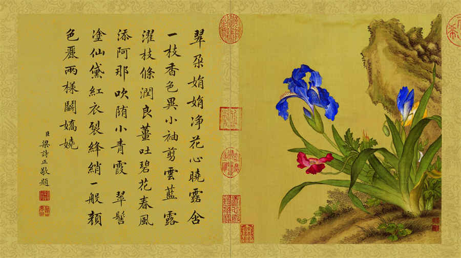 第一节 骨折的定义、成因、分类与骨折段的移位(当前章节内容组合) 骨折的定义及局部表现 第一节 骨折的定义、成因、分类与骨折段的移位(当前章节内容组合) 骨折的定义及局部表现