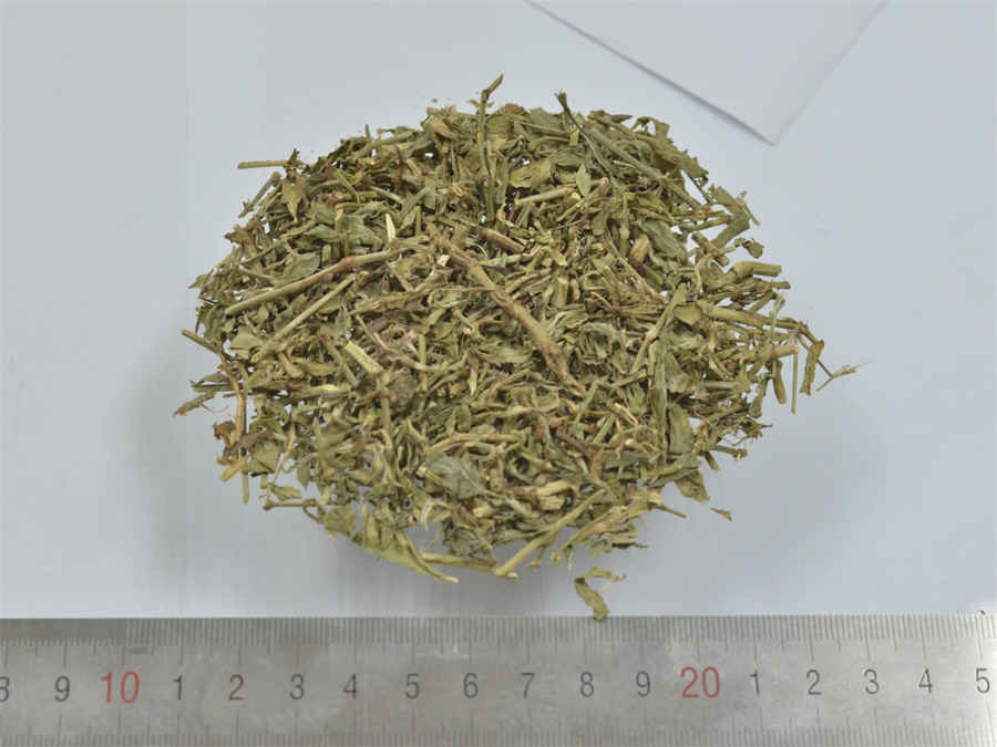 失音 失音 失音 失音