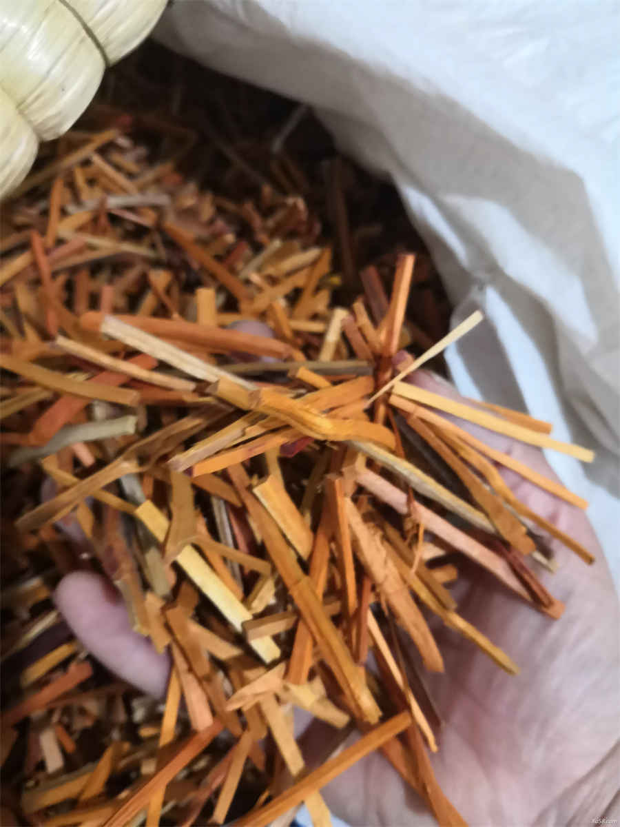 虚损 虚损症 虚损病 虚损 虚损症 虚损病