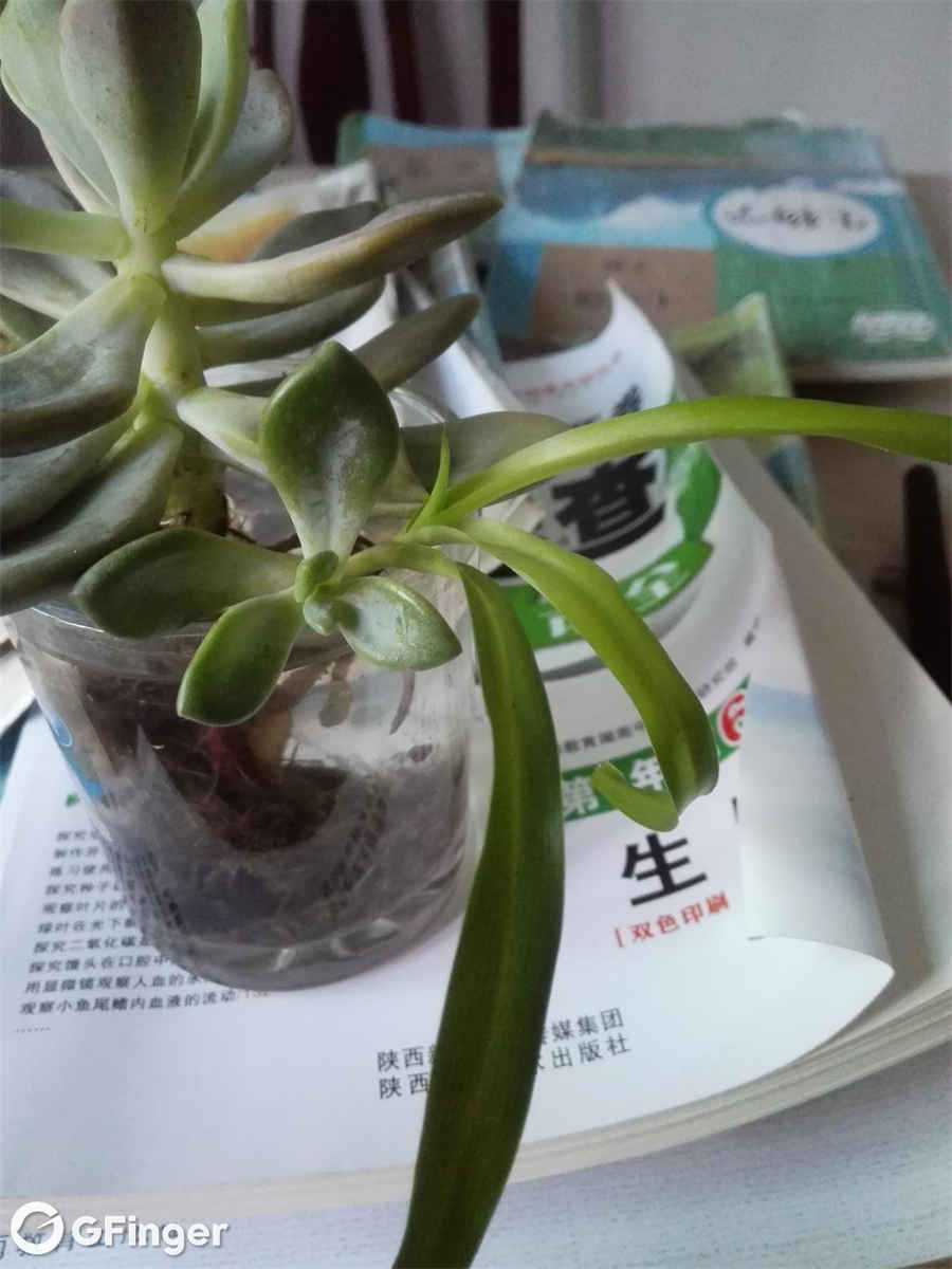 如何调节消极情绪?五大方法让你远离消极情绪! 调节消极情绪的方法5种 如何调节消极情绪?五大方法让你远离消极情绪! 调节消极情绪的方法5种