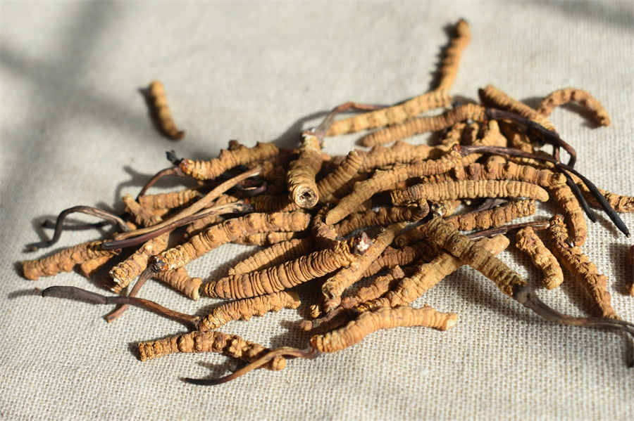现在请个律师需要花多少钱(请律师费用一般是多少?取费标准由下面几个方面来确定) 现在请个律师需要花多少钱(请律师费用一般是多少?取费标准由下面几个方面来确定)