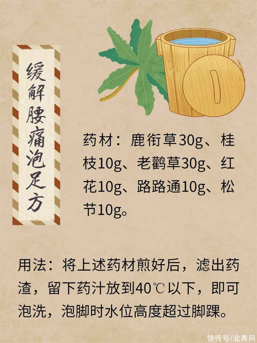 如何辨别真假天麻?真天麻有8大特征中药材真假好坏鉴别方法 如何辨别真假天麻?真天麻有8大特征中药材真假好坏鉴别方法