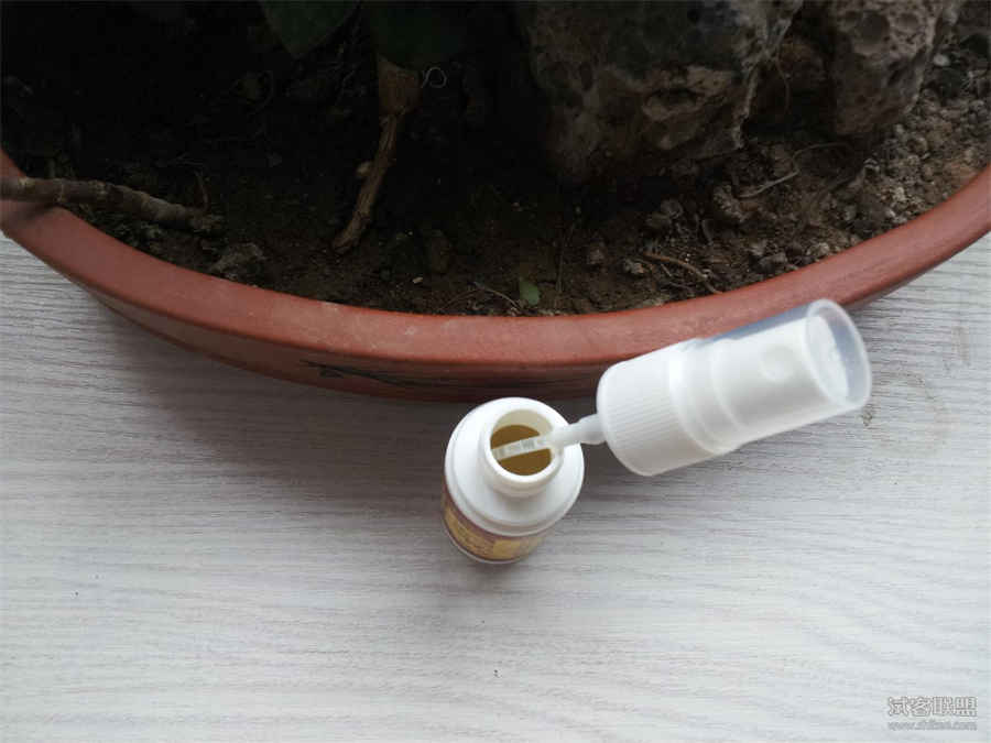 山大刀山大刀的功效与作用及食用方 山大刀山大刀的功效与作用及食用方