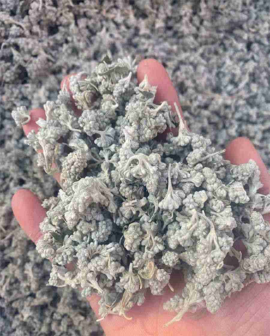 景甜现任老公是张继科吗 景甜现任老公是张继科吗