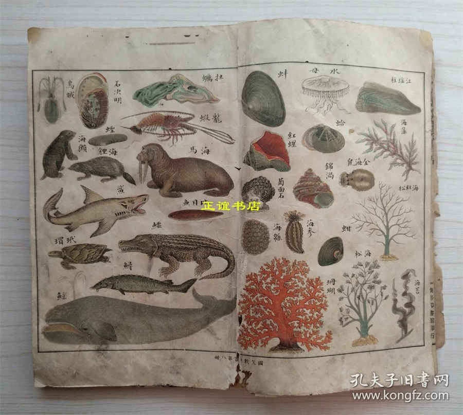 牡丹江寺庙有哪些 牡丹江必去著名寺庙 牡丹江圆通讲寺 牡丹江寺庙有哪些 牡丹江必去著名寺庙 牡丹江圆通讲寺