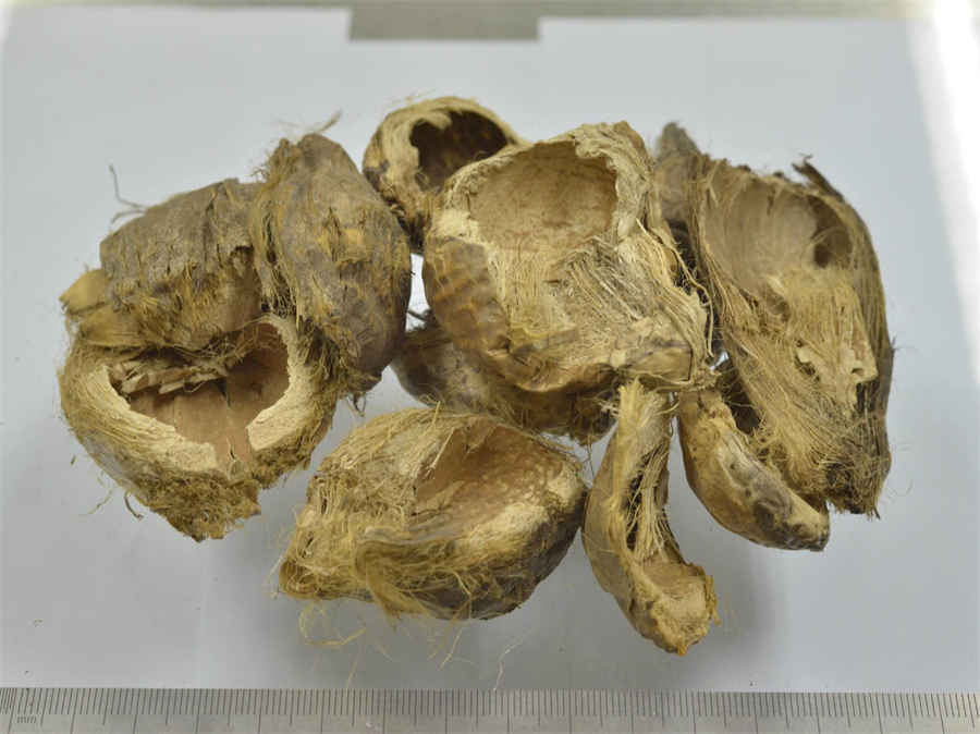 药方 药方识别 道藏经 药方 药方识别 道藏经