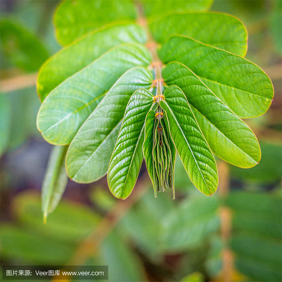 诈骗未遂怎么处理以及立案标准 诈骗未遂的立案的条件 诈骗未遂怎么处理以及立案标准 诈骗未遂的立案的条件