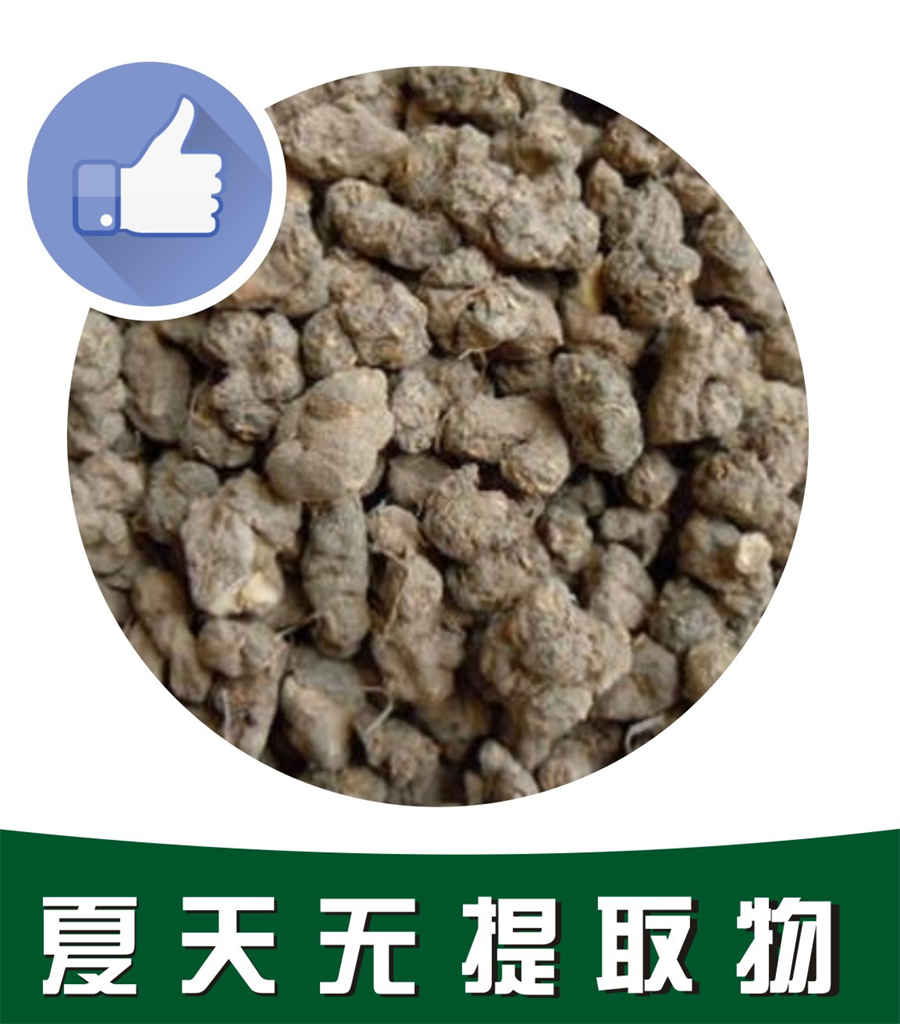 菜谱清炒马兰头,马兰头应该怎么做才好吃 菜谱清炒马兰头,马兰头应该怎么做才好吃