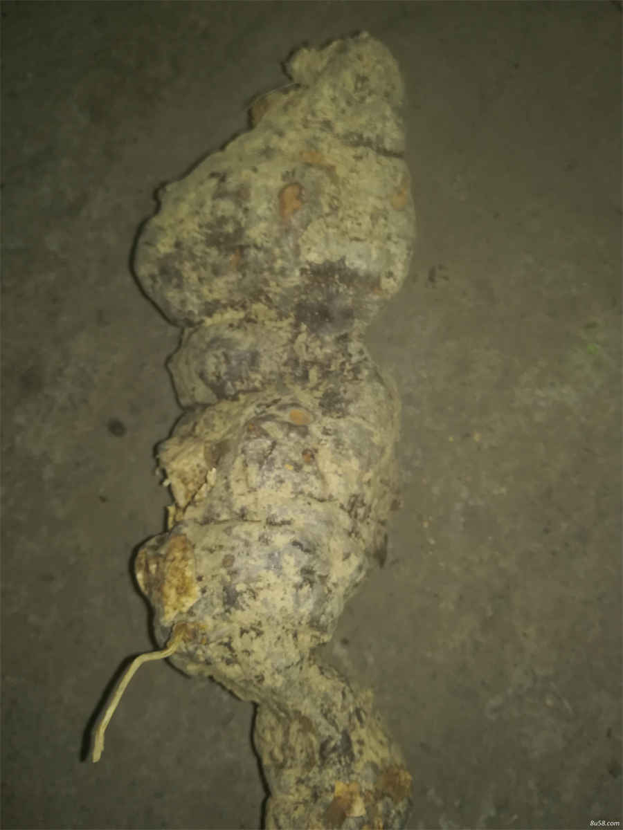 庠序是什么意思庠序的解释汉语词典 庠序是什么意思庠序的解释汉语词典