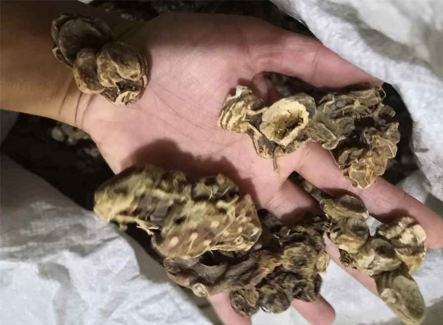 保卫婚姻专家 保卫婚姻 保卫婚姻专家 保卫婚姻