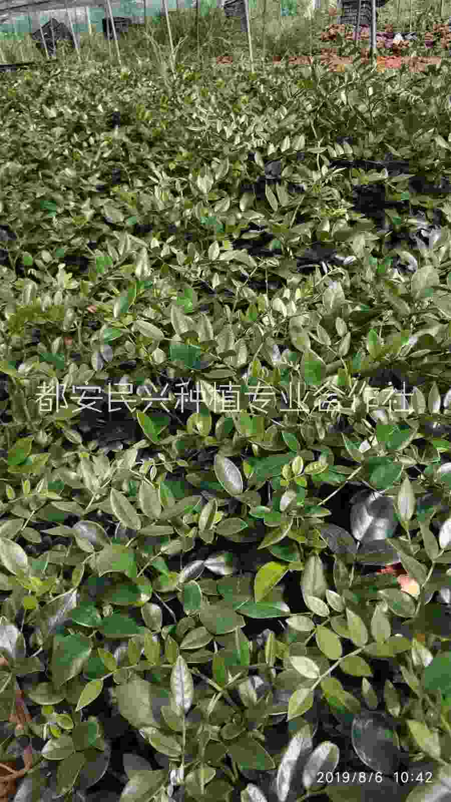 刑事附带民事诉讼诉状怎么写(附带民事起诉状格式和范文) 刑事附带民事诉讼起诉书怎么写 刑事附带民事诉讼诉状怎么写(附带民事起诉状格式和范文) 刑事附带民事诉讼起诉书怎么写