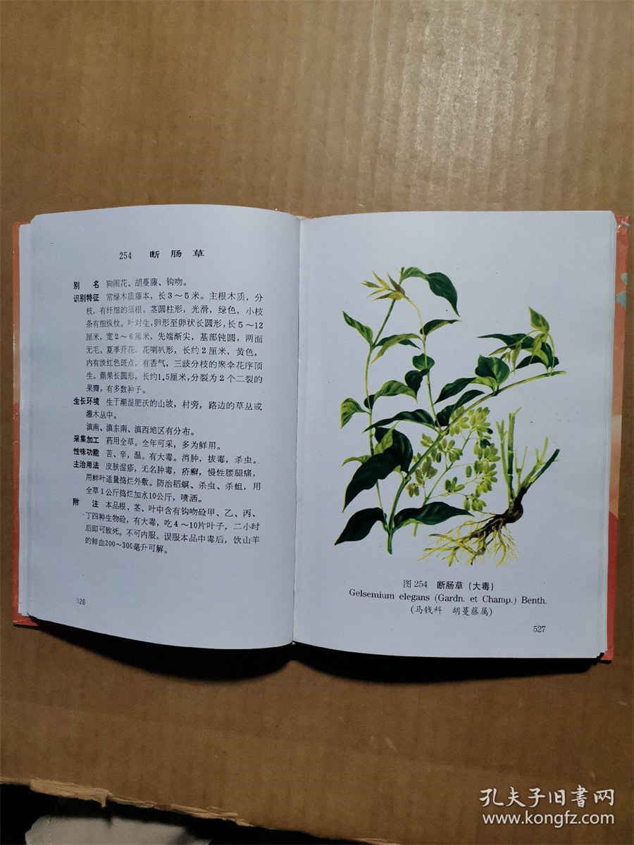 胖大海含片(胖大海含片禁忌) 胖大海含片(胖大海含片禁忌)