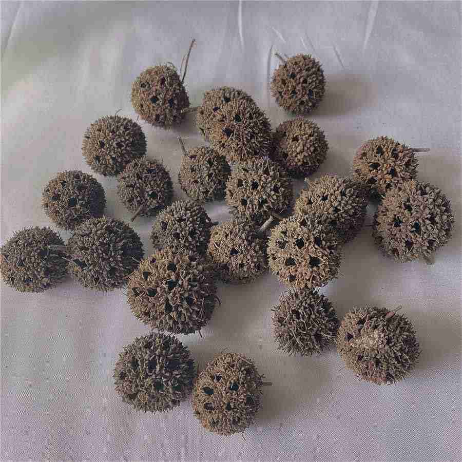 世界网球排名到多少 世界网球排名到多少