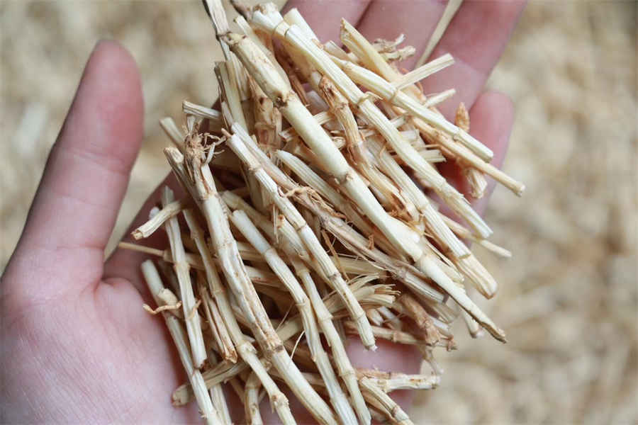 担保是什么意思? 让与担保是什么意思 担保是什么意思? 让与担保是什么意思
