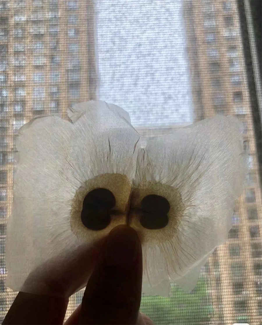 10道心理年龄测试题,看看你的心理年龄是多少 10道心理年龄测试题,看看你的心理年龄是多少