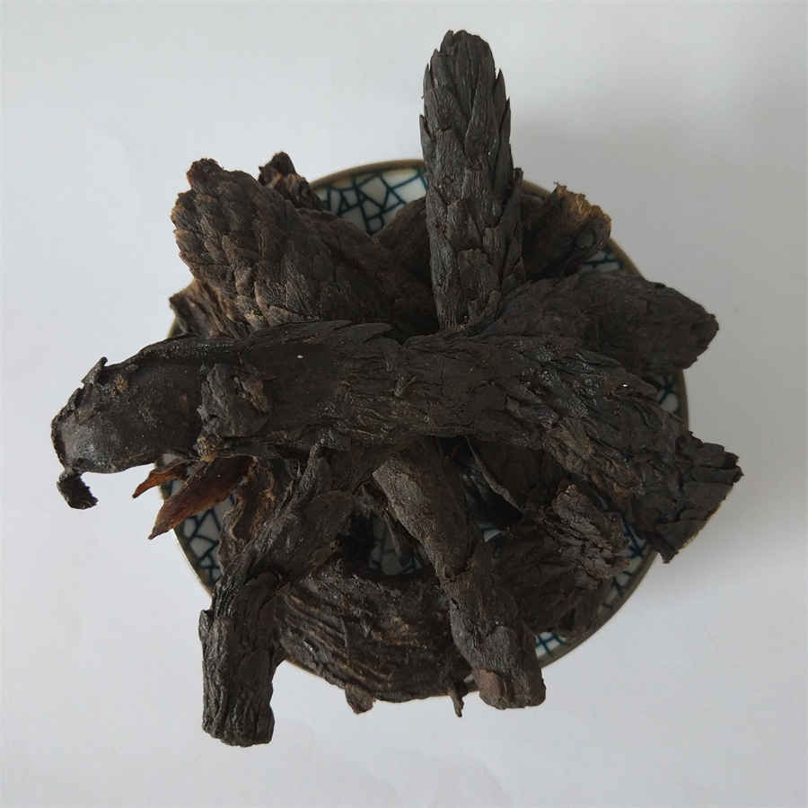 骑冰连成员有哪些 骑冰连成员有哪些