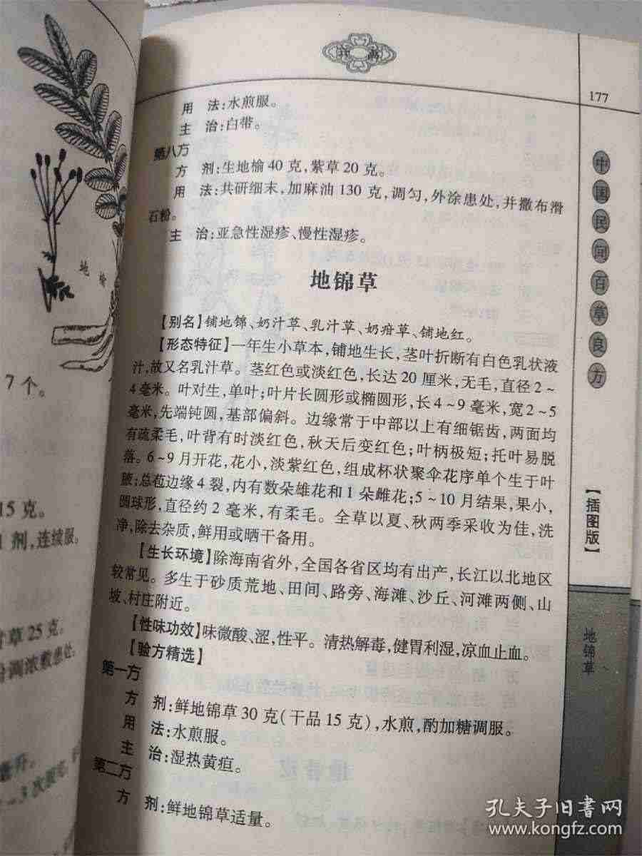 胡萝卜粥 胡萝卜粥 胡萝卜粥 胡萝卜粥
