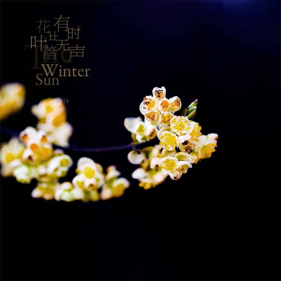 蟾蜍 癞虾蟆的拼音怎么写 蟾蜍 癞虾蟆的拼音怎么写
