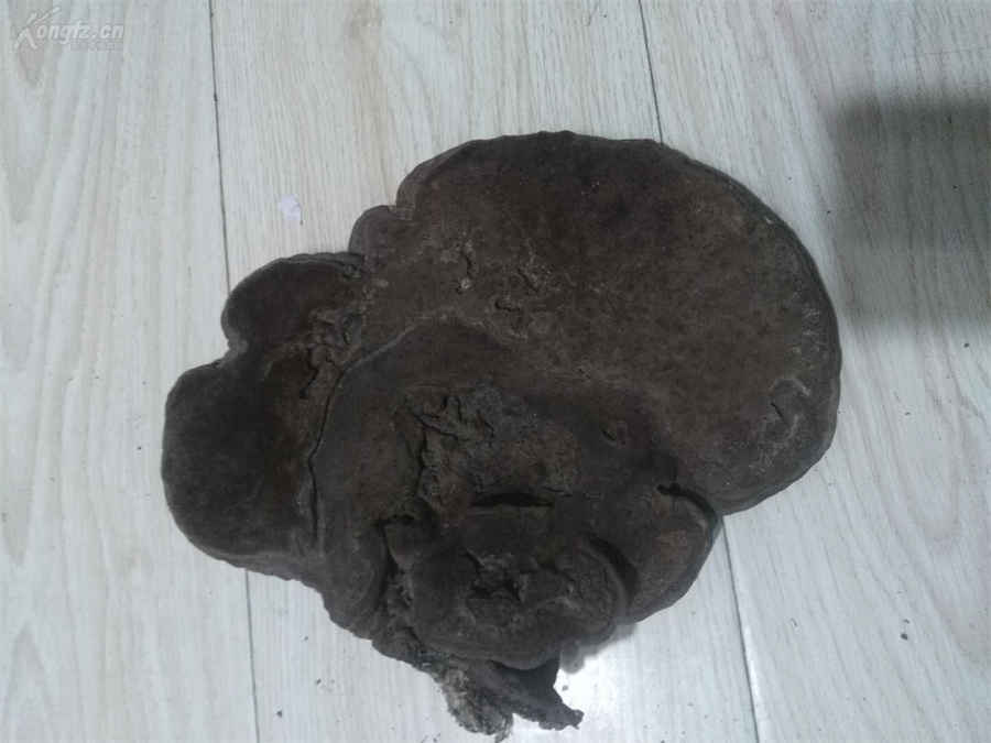 铁扫帚 铁扫帚的图片 铁扫帚 铁扫帚的图片