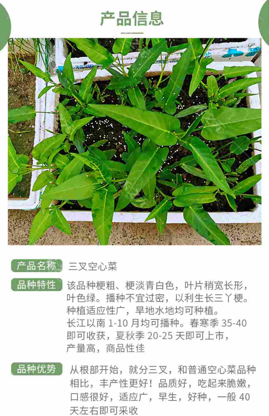 口噤 噤怎么读 口噤 口噤 噤怎么读 口噤