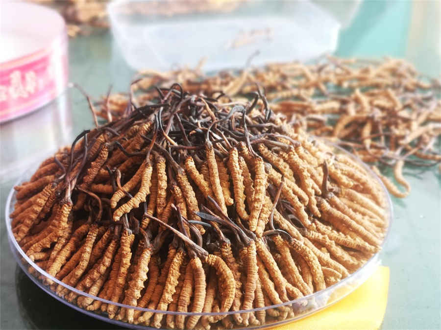 越鞠保和丸 越鞠保和丸是热性还是凉性 越鞠保和丸 越鞠保和丸是热性还是凉性