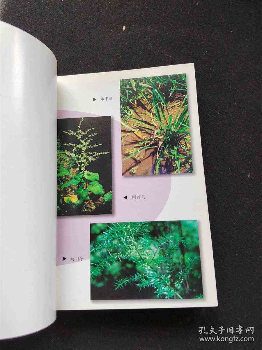 春天的画怎么画简单又漂亮 怎么画春天好看又简单 春天的画怎么画简单又漂亮 怎么画春天好看又简单