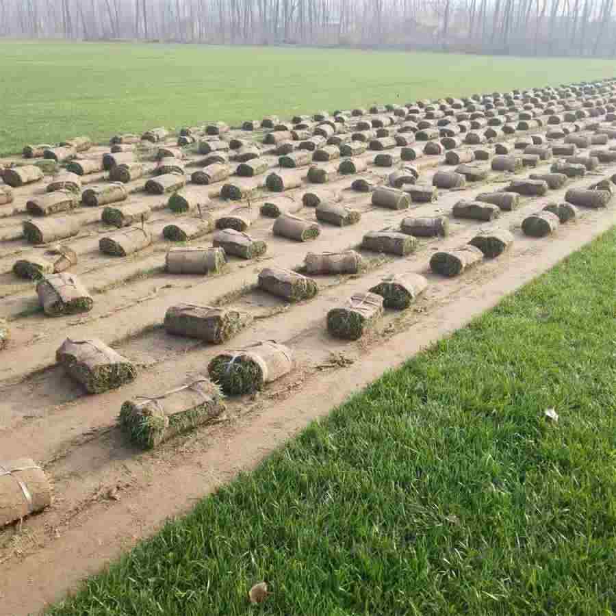烟花三月下扬州上一句诗是什么(烟花三月下扬州上一句) 烟花三月下扬州这首诗叫什么名字 烟花三月下扬州上一句诗是什么(烟花三月下扬州上一句) 烟花三月下扬州这首诗叫什么名字