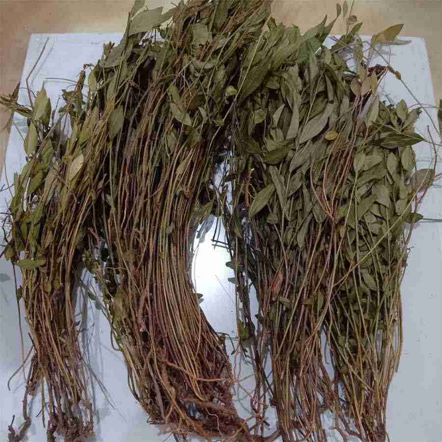 童话风格婚礼 这场童话般的婚礼 童话风格婚礼 这场童话般的婚礼