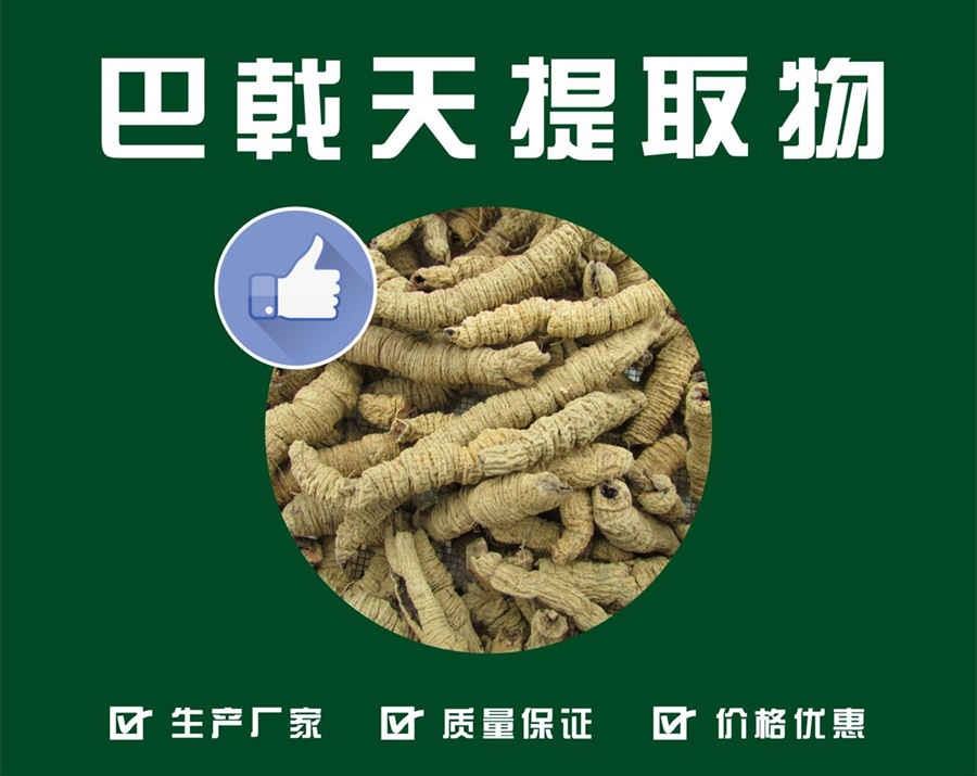 1990年出生今年多少岁(1990年今年几岁2021) 1990年出生的人今年多少周岁 1990年出生今年多少岁(1990年今年几岁2021) 1990年出生的人今年多少周岁