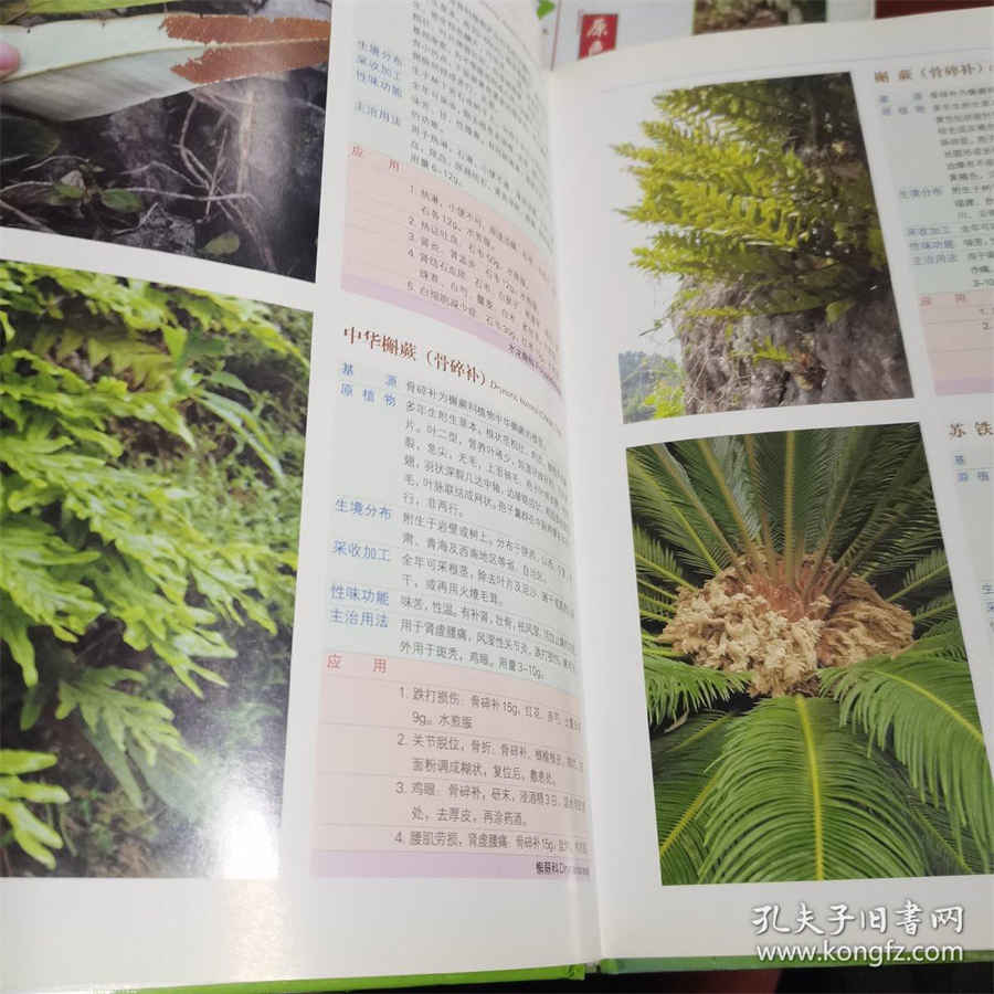 吐的反义词 吐反义词 吐的反义词 吐反义词