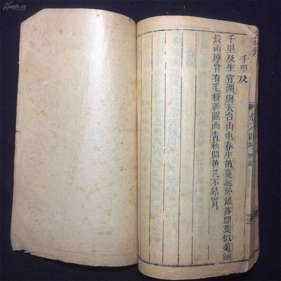 尸厥 尸厥 尸厥 尸厥