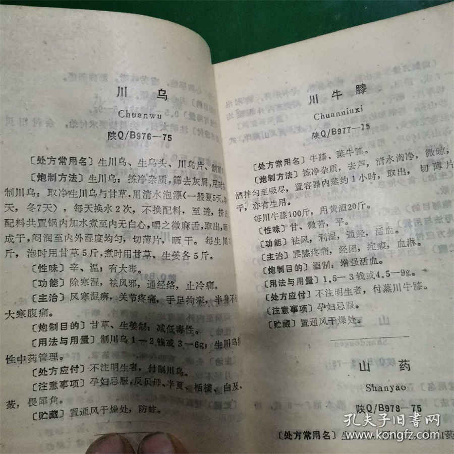 刺毛虫皮炎 刺毛 刺毛虫皮炎 刺毛