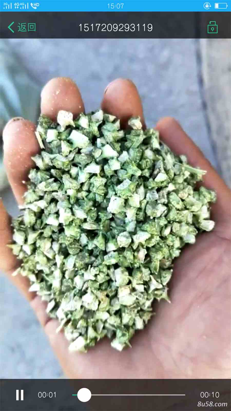 临江鳝丝的做法(临江鳝丝图片) 导盲犬可以用什么看东西 临江鳝丝的做法(临江鳝丝图片) 导盲犬可以用什么看东西