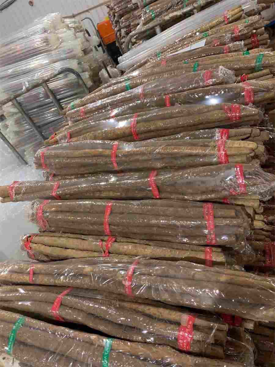 40岁女人每天喝三七粉有什么好处?吃多少?三七粉养生 40岁女人每天喝三七粉有什么好处?吃多少?三七粉养生